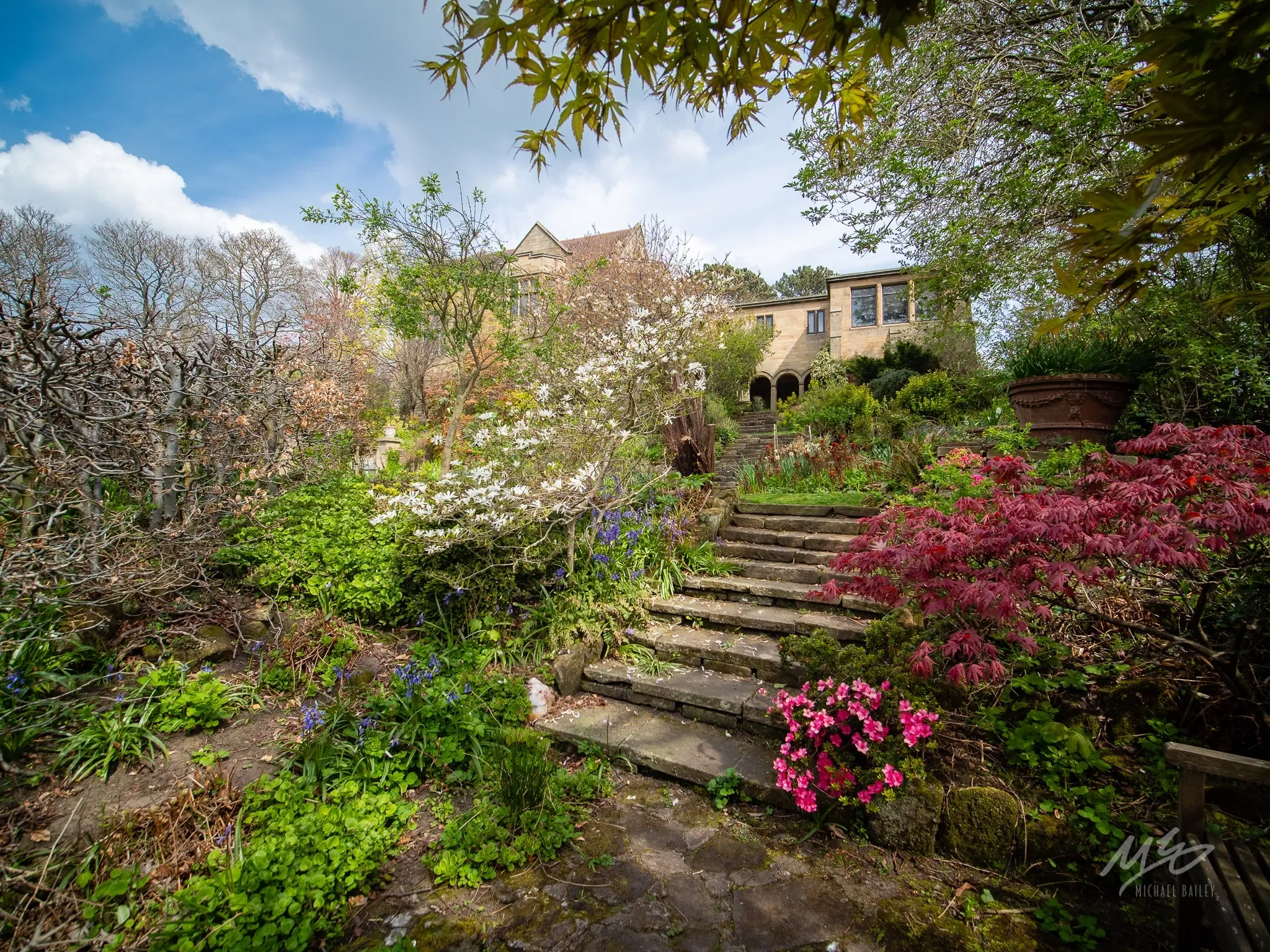 garden